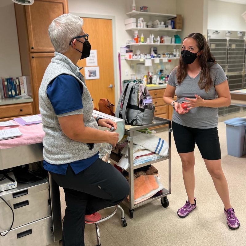 Shelton, CT 06484 Veterinary Services Shelton Veterinary Center